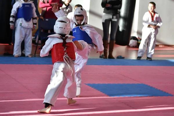 The Art of Resilience: Why Fortitude Fencing Stands Apart