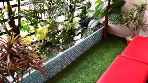 How Apex Turf Artificial Grass Enhances Your Outdoor Space